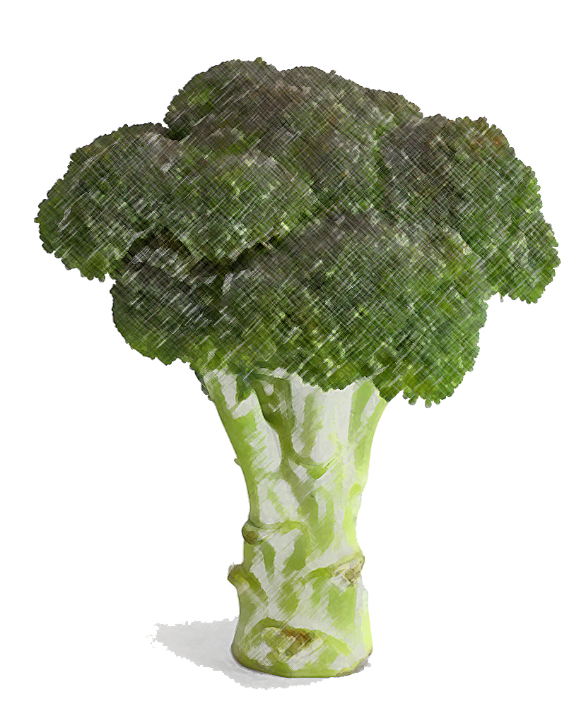 Thyroid Problem Foods Jbyrd Yoga Journal