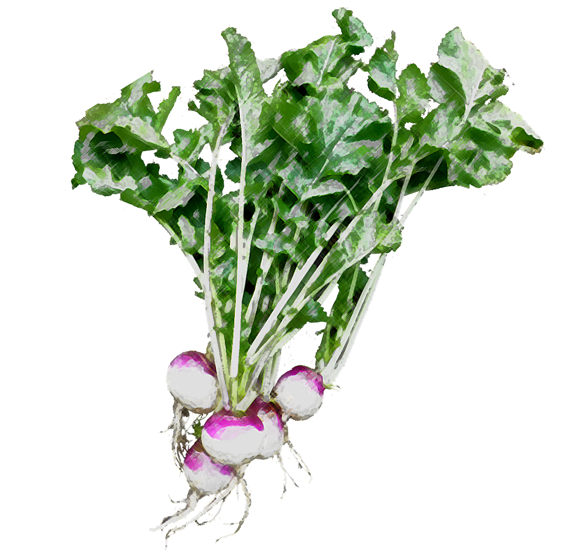 Thyroid Problem Foods Jbyrd Yoga Journal