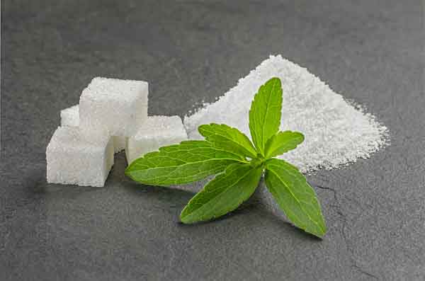 Stevia leaves with stevia powder and sugar cubes