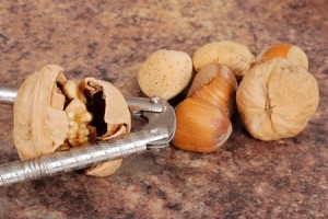 nut cracker cracking walnut