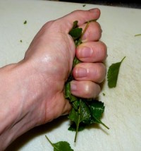 crushing the mint leaves