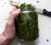 mint leaves in jar