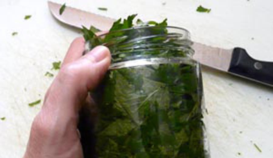 tincture - mint leaves in jar